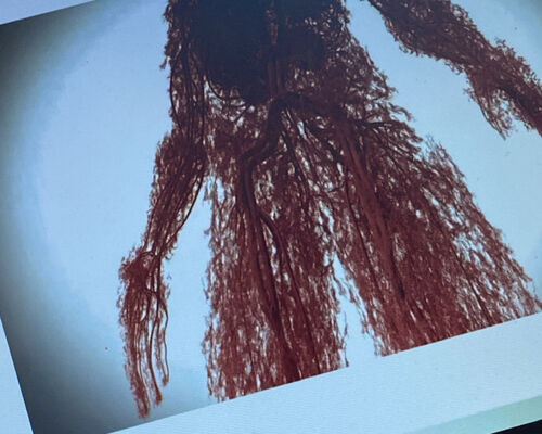 E7632ED8-9412-4B66-8756-76BA0593DB59